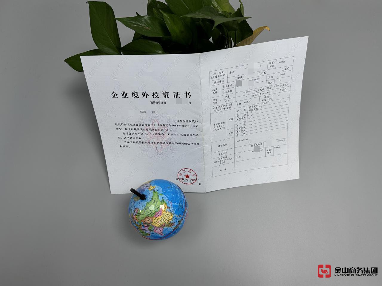 境外投資外匯登記 境外投資外匯登記