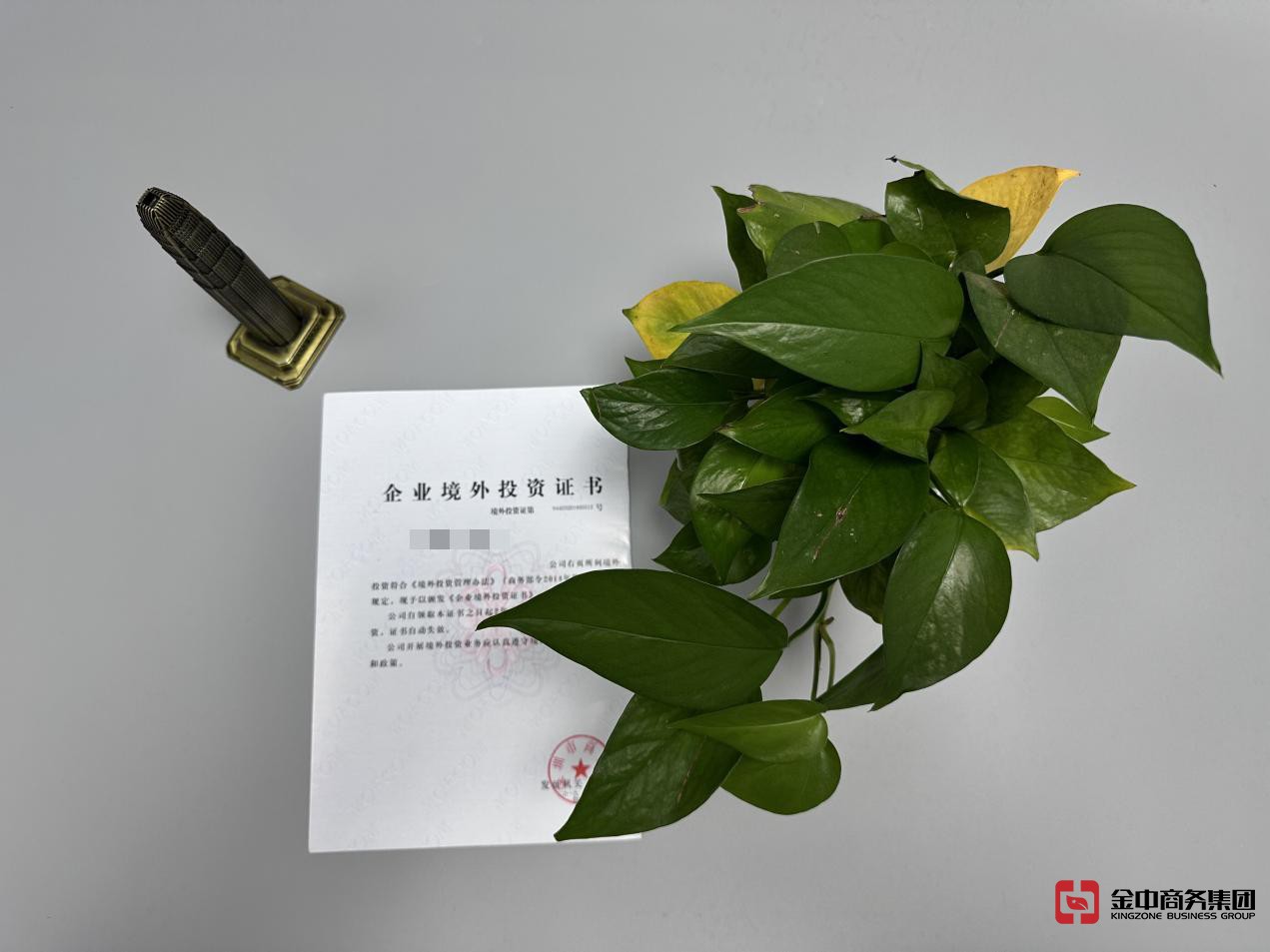 FDI備案登記 FDI備案登記